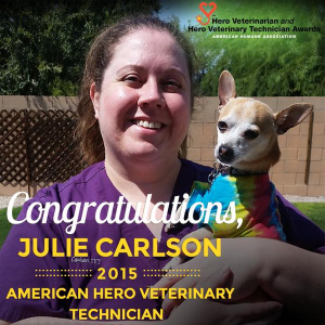 Julie Dawn Carlson '01, 2015 veterinary technician of the year