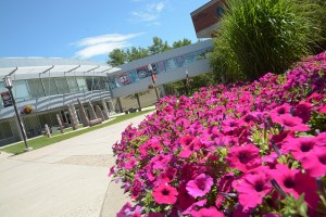 Student Success Teams to welcome Class of 2021