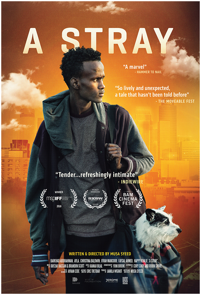 "A Stray" poster