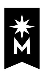 logo Minnesota State ribbon