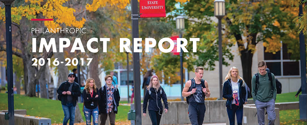 2016-2017 Impact Report cover