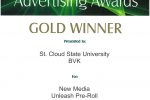 Gold award certificate