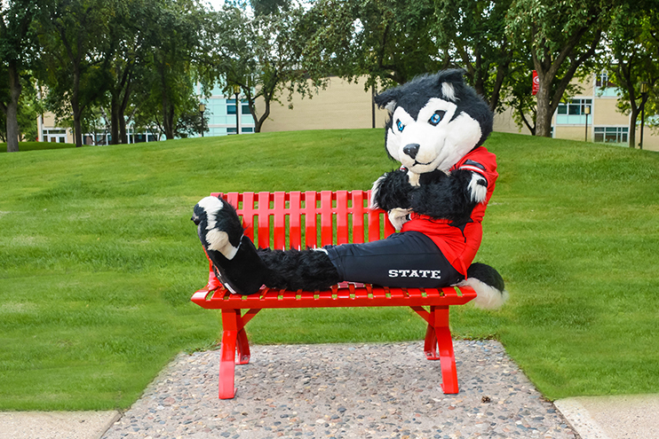 Blizzard sits on a red bench