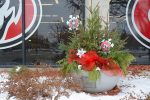 A flower pot with evergreens and St. Cloud State-themed decorations