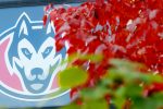 Huskies logo and fall leaves