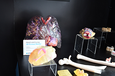 A variety of 3D printed medical items
