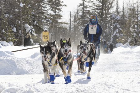 SCSU baseball player has an adventurous hobby: sled dog racing