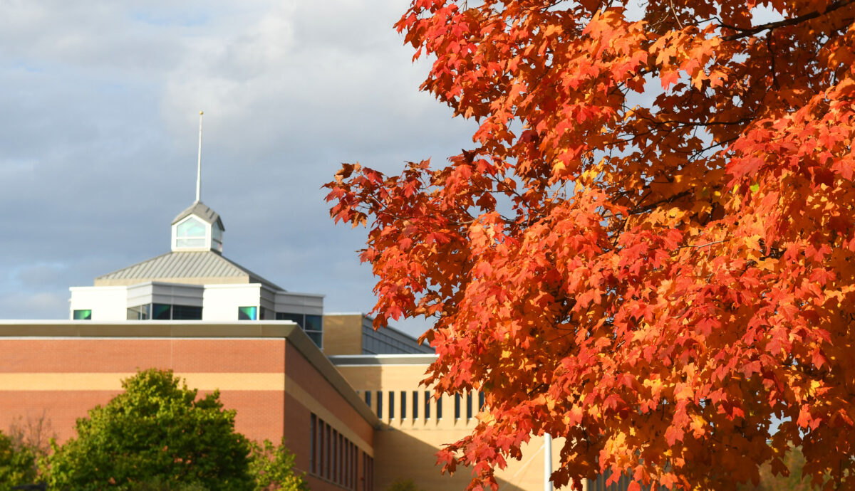 A tree with changing leaves is photographed next to the James W. Miller Learning Resources Center