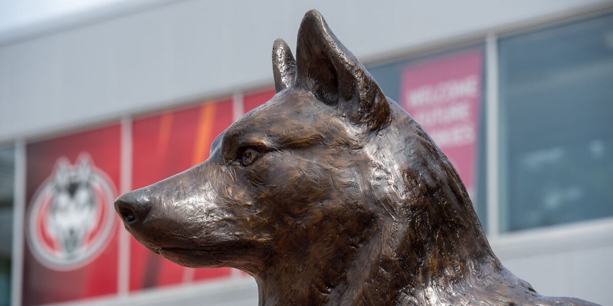 A bronze husky statue in Husky Plaza is pictured with the skyway visible with an SCSU logo out of focus