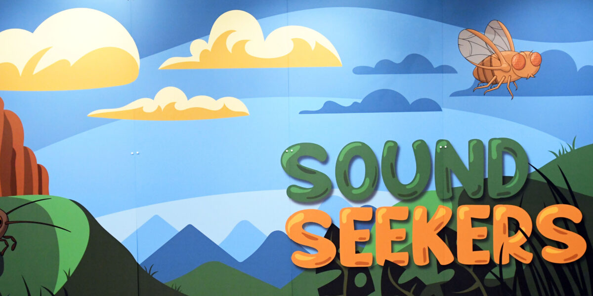 Sound Seekers wall graphic with a fly and green and yellow font in front of clouds and mountains